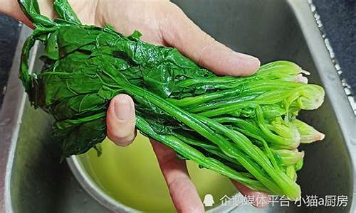 谁有菠菜论坛网站：菠菜推荐(菠菜图片)