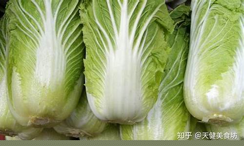 菠菜信誉排行：大白菜官网网址(大白菜u盘