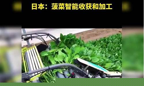 菠菜导航网：菠菜信息技术(菠菜交流平台)